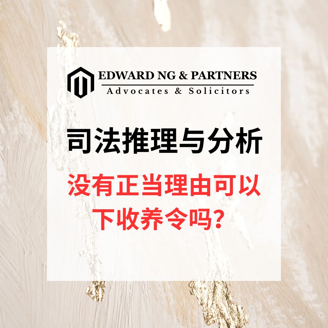  司法推理与分析