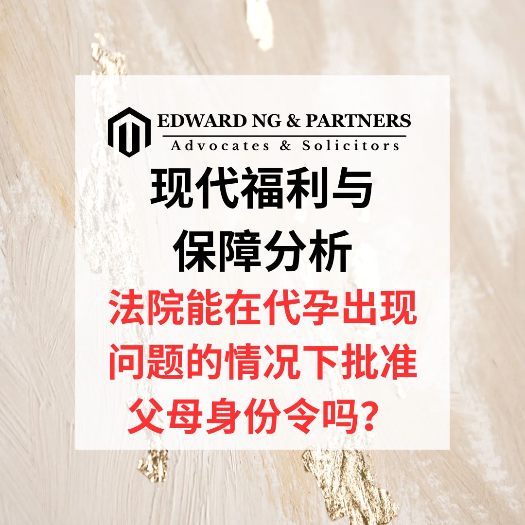 现代福利与保障分析