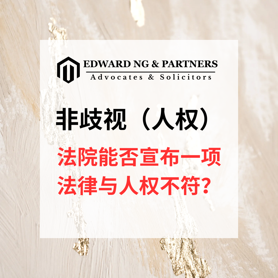 非歧视（人权）
