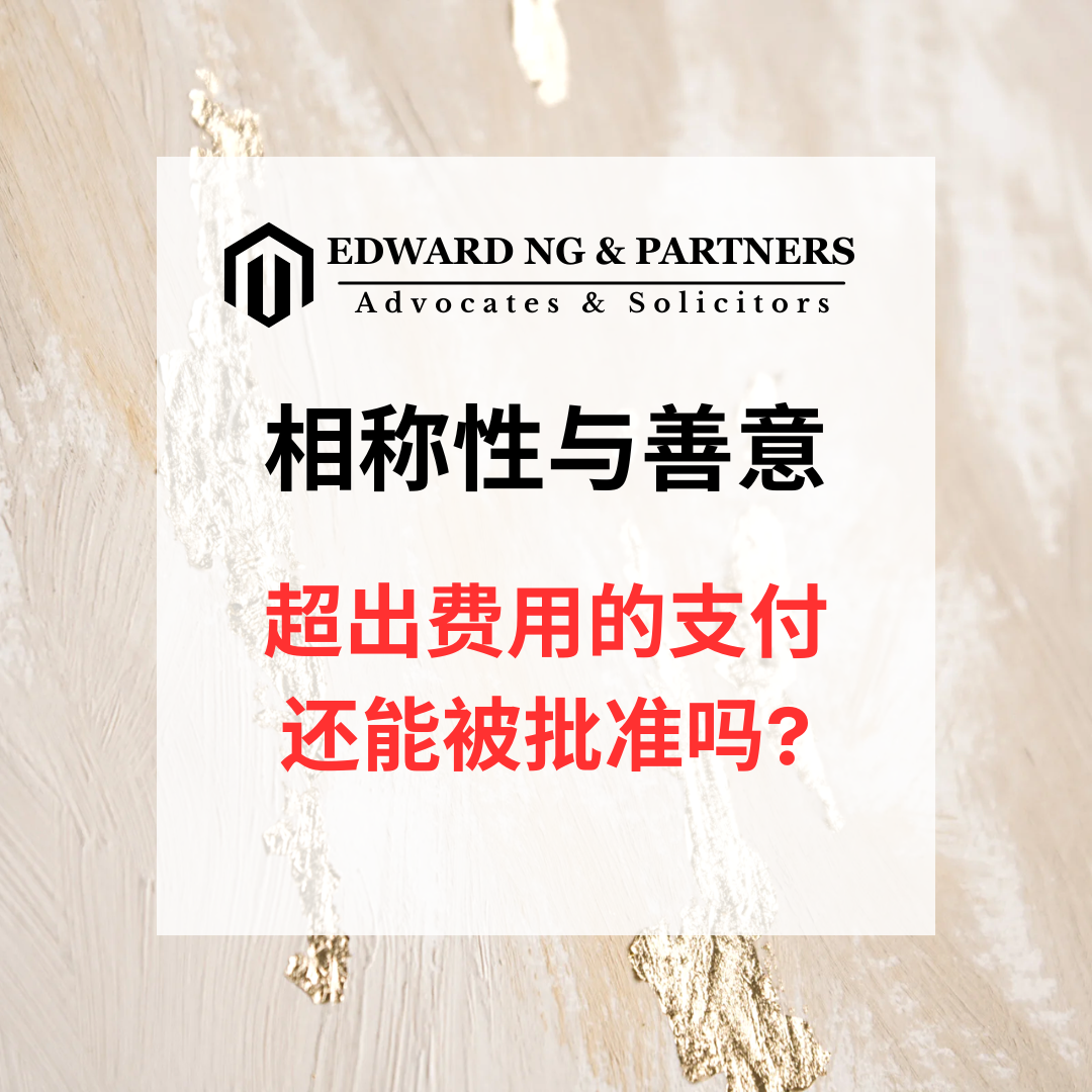 相称性与善意
