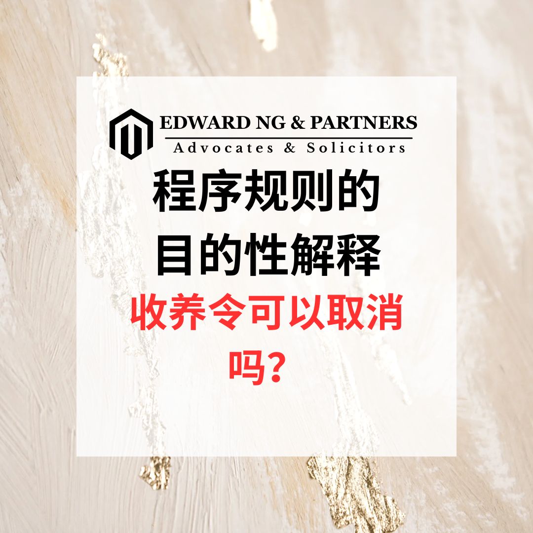 程序规则的目的性解释