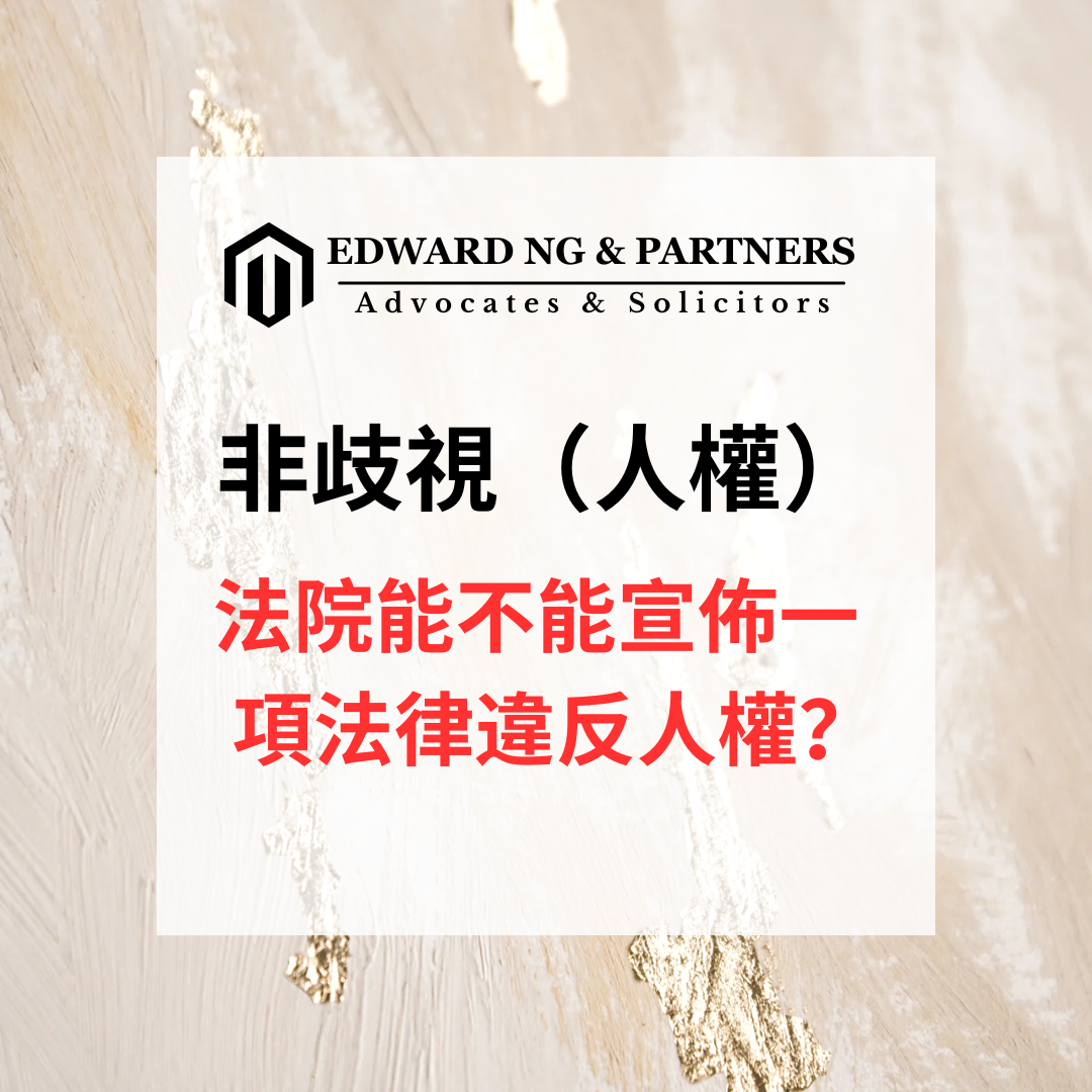 非歧視（人權）