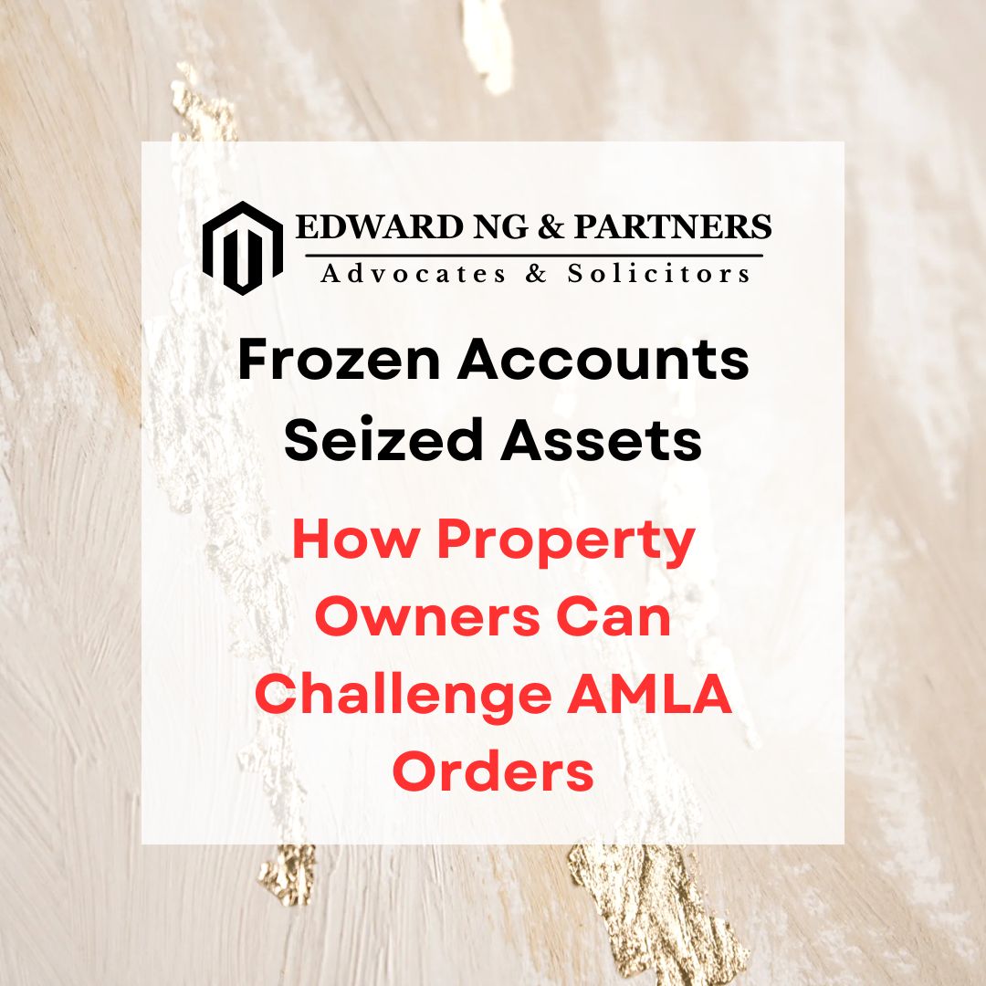Frozen Accounts Seized Assets