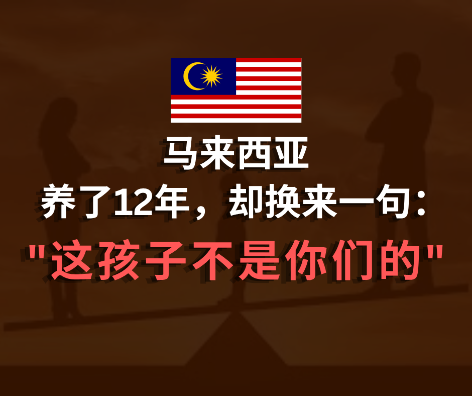 养了12年的华人孩子，BSK调查后竟变身穆斯林？血泪教训曝光