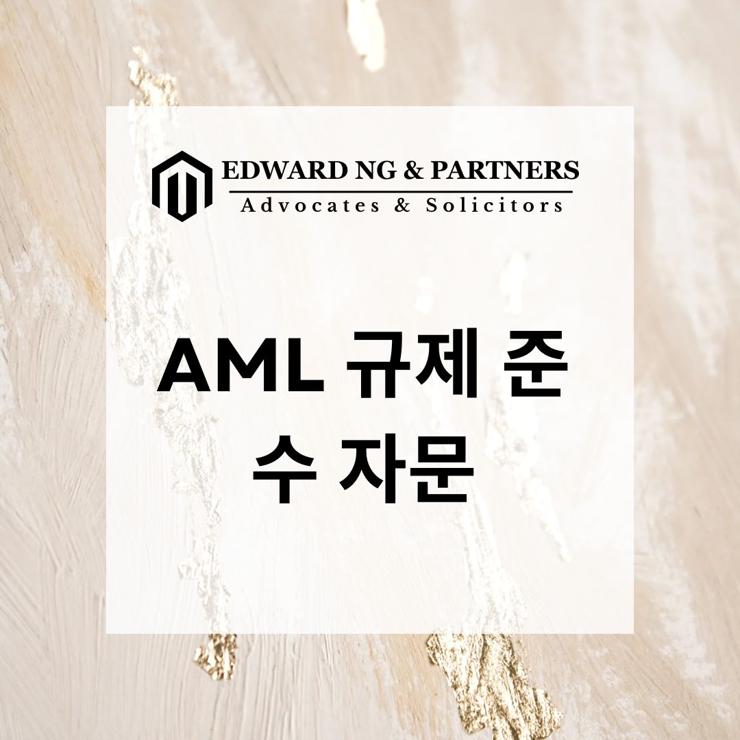 AML 규제 준수 자문