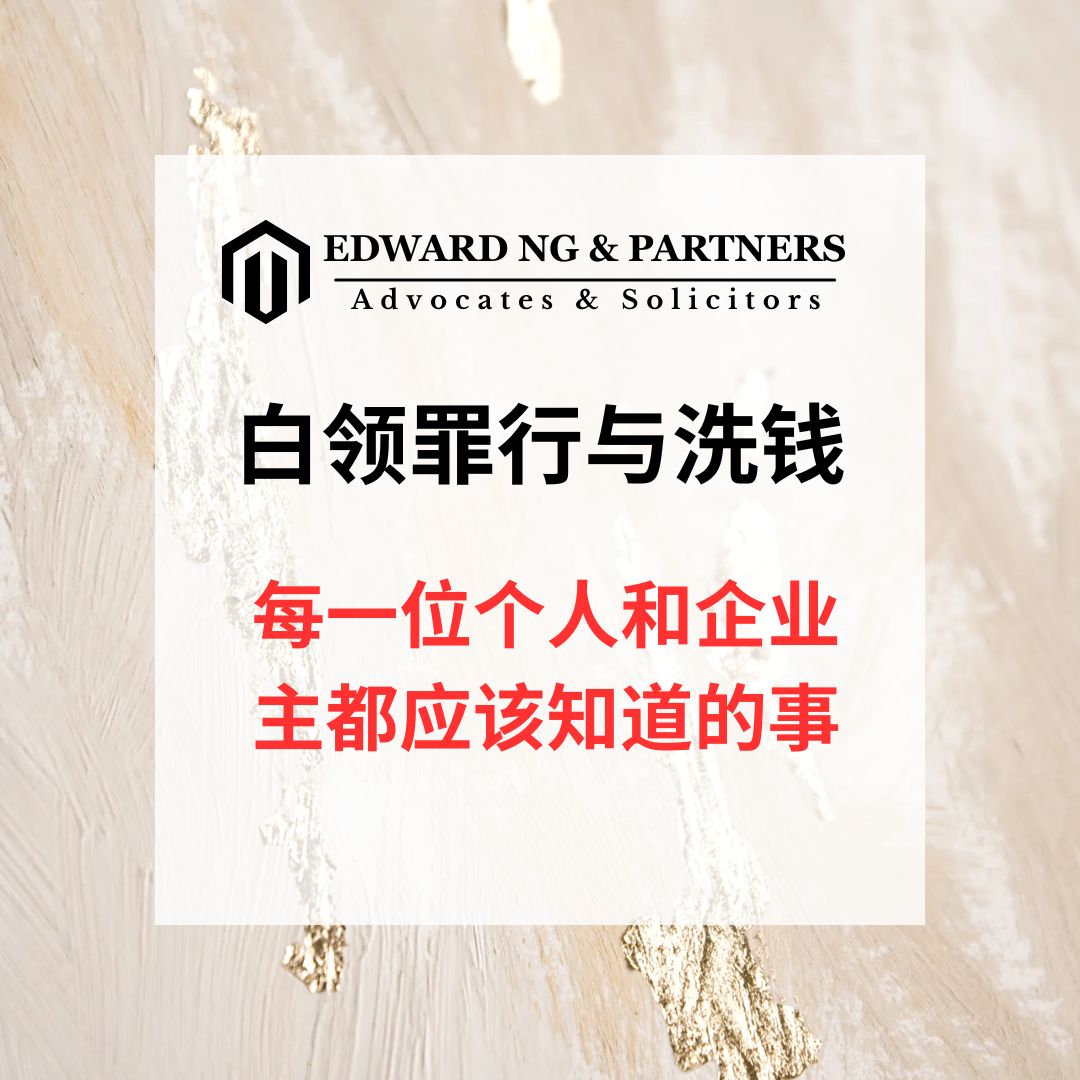 白领罪行与洗钱：每一位个人和企业主都应该知道的事